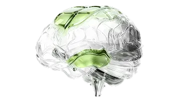 Управление вовлеченностью игроков